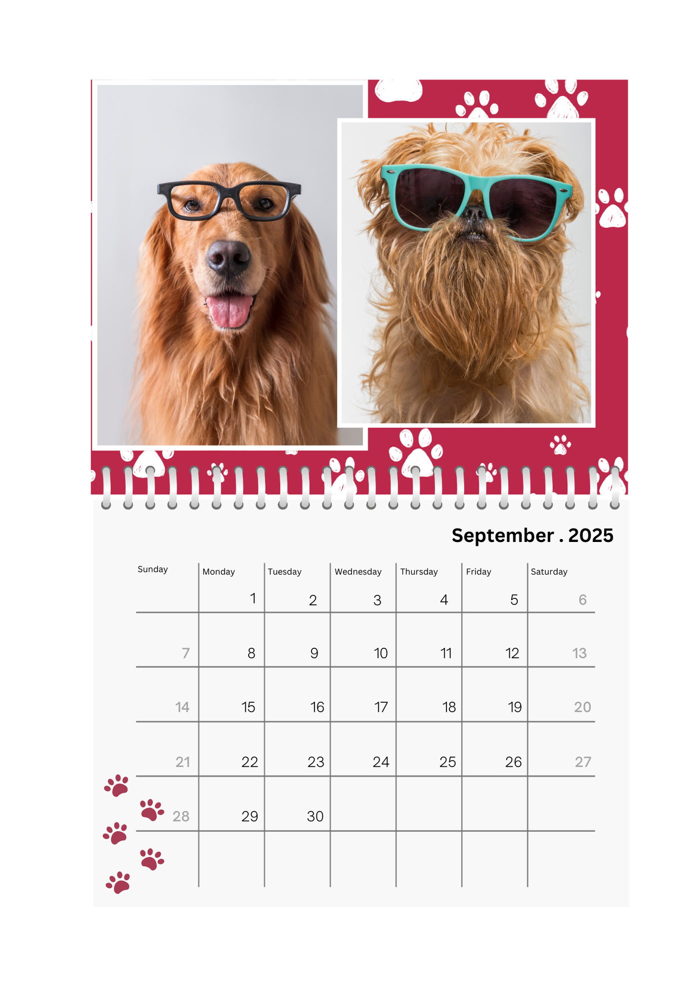 Pets Wall Photo Calendar 2025