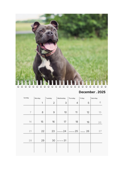 Full Photo Wall Calendar 2025