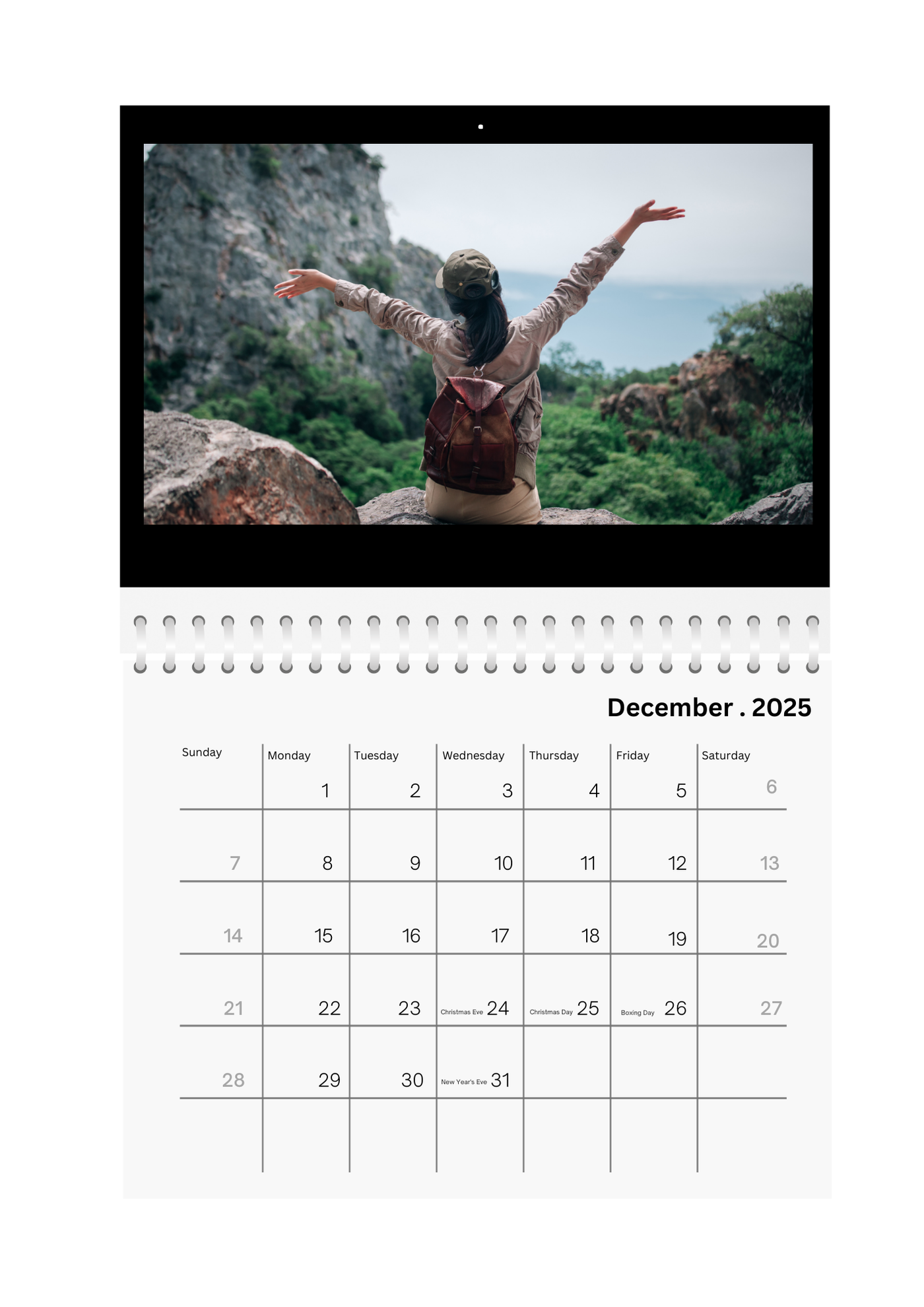 Studio Frame traveler Wall Calendar 2025