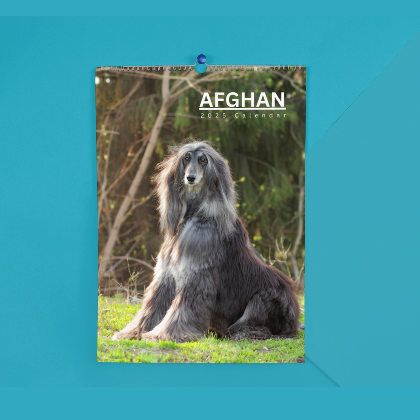 Afghan Hound Calendar 2025