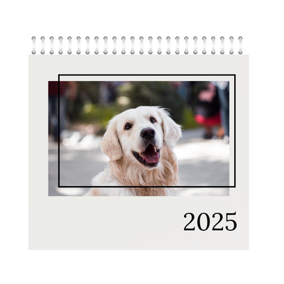 Pets Wall Photo Calendar 2025