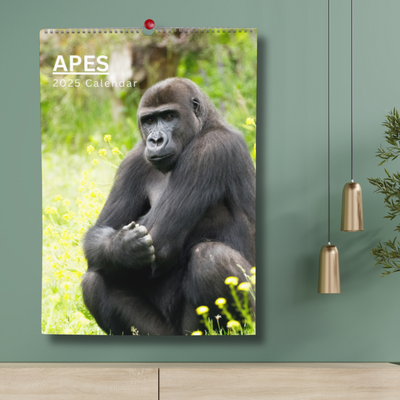 Apes Calendar 2025