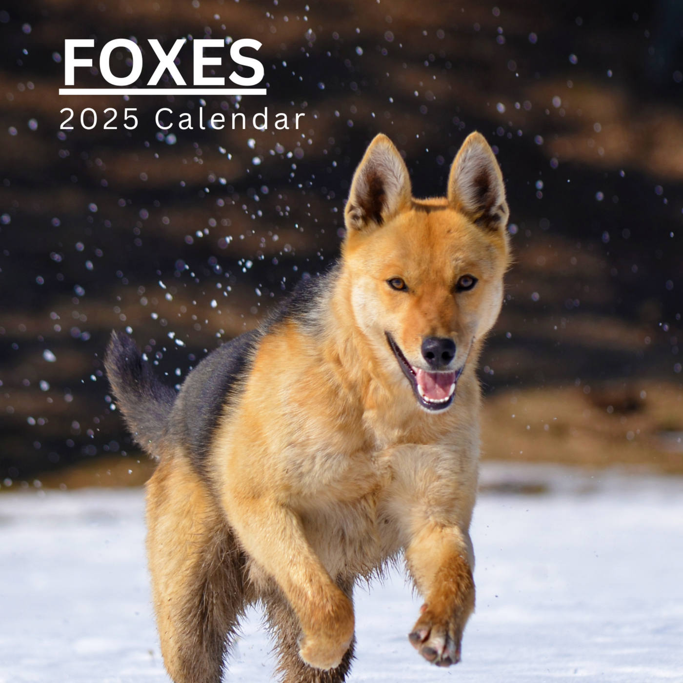 Foxes Calendar 2025