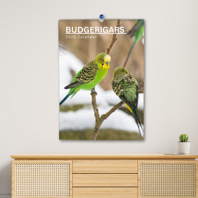 Budgerigars Calendar 2025