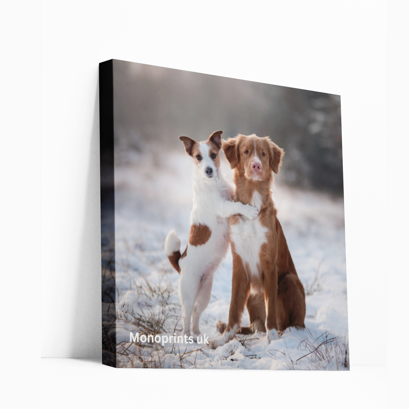 Canvas Pictures Personalised Wall Art 30x30 Your Photo Prints Framed on 18mm