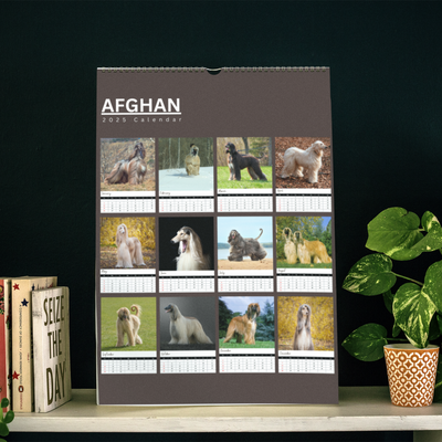 Afghan Hound Calendar 2025