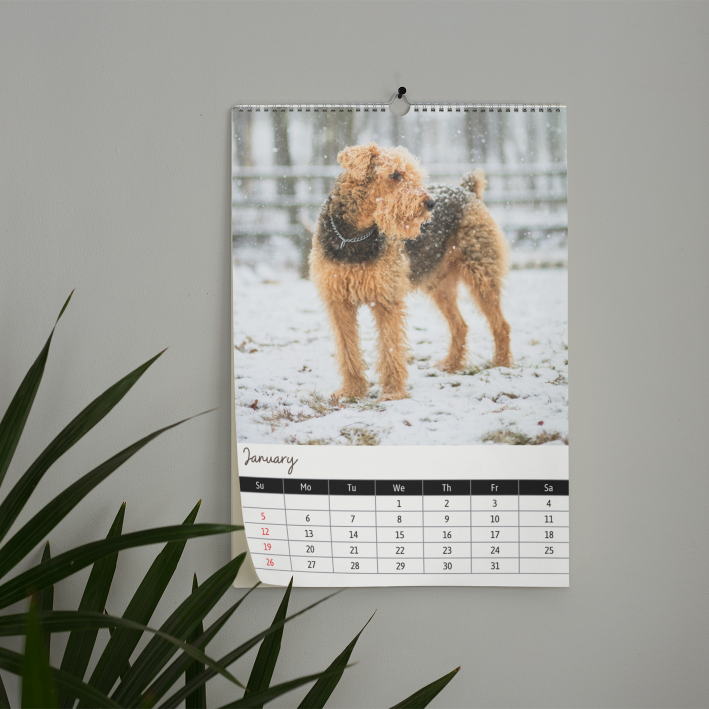 Airedale Terrier Calendar 2025