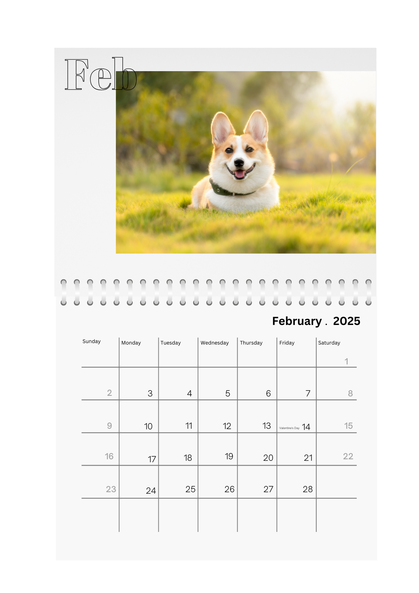 Modern Stencil Wall Calendar 2025