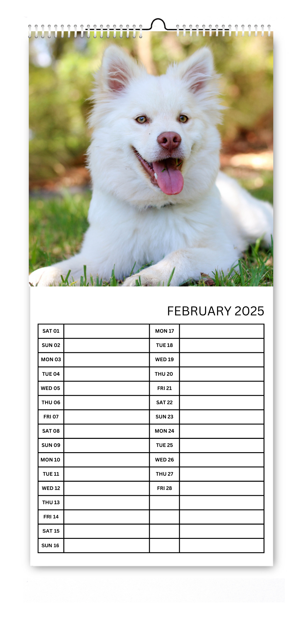 5.5x12" Dog & Cat Kitchen Calendars