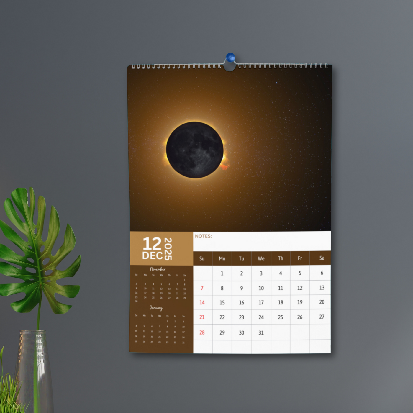 Astronomy Calendar 2025