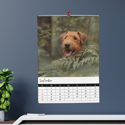 Airedale Terrier Calendar 2025