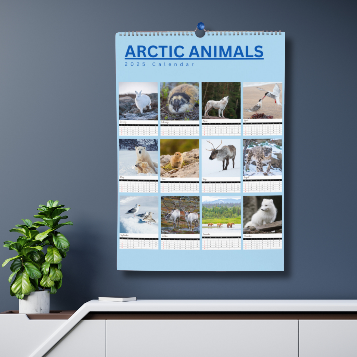 Arctic Animals Calendar 2025