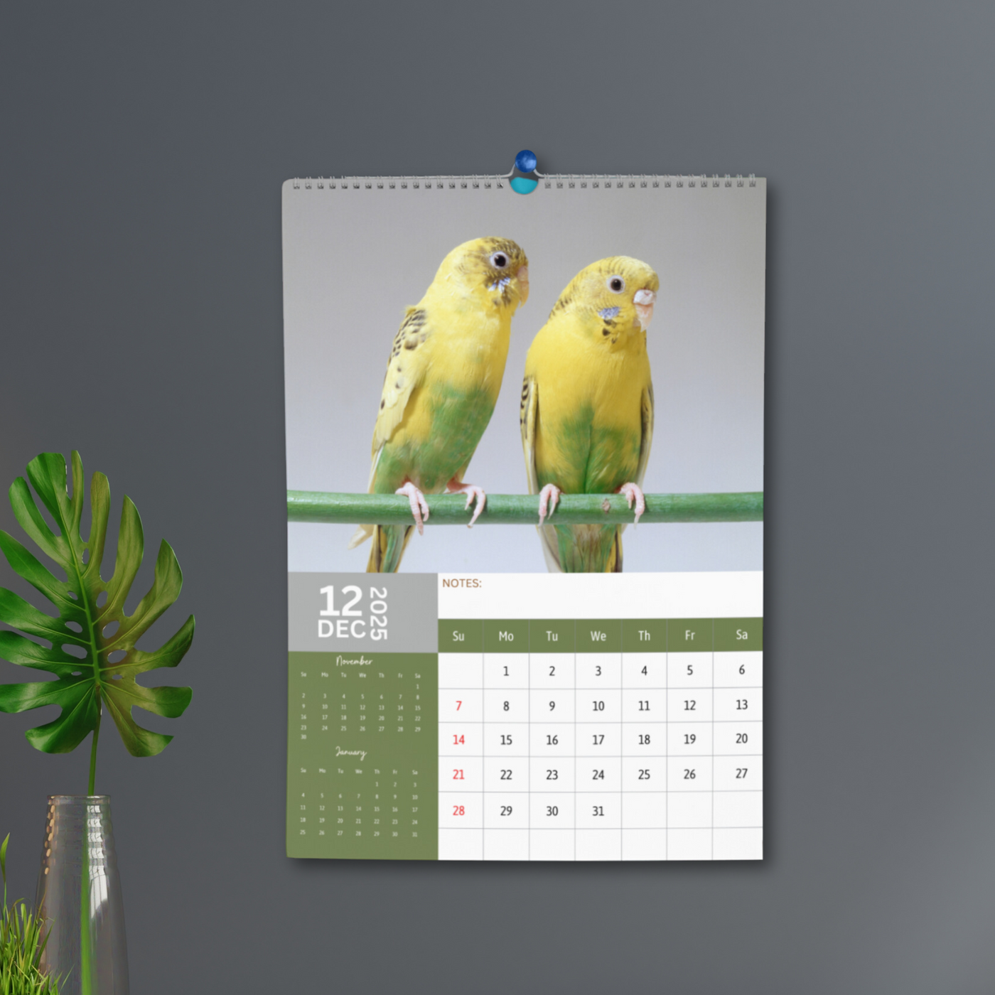 Budgerigars Calendar 2025