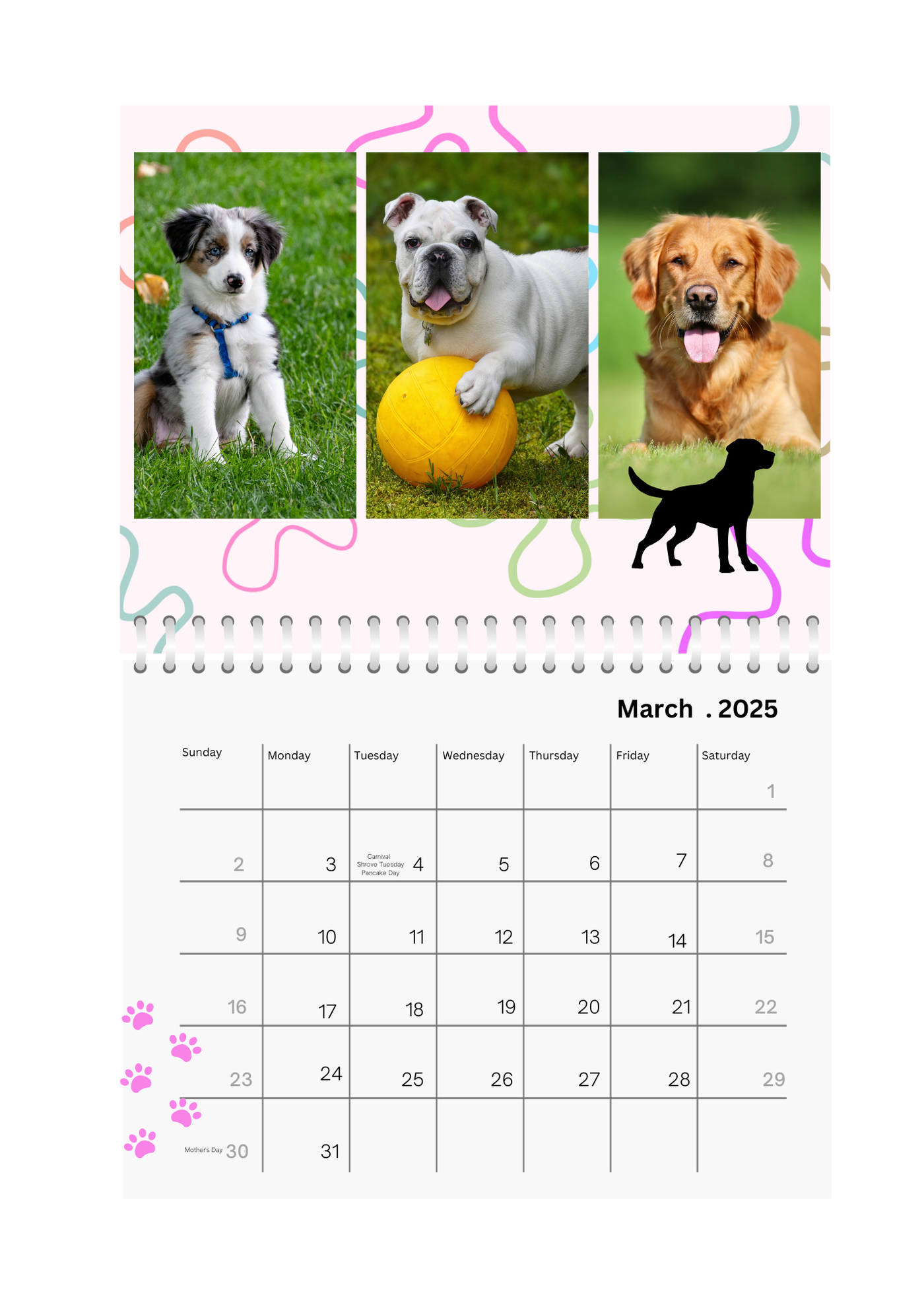 Pets Wall Photo Calendar 2025