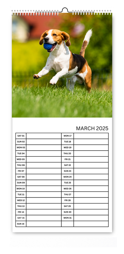 5.5x12" Dog & Cat Kitchen Calendars