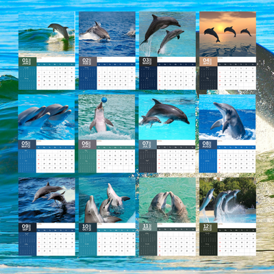 Dolphins Calendar 2025