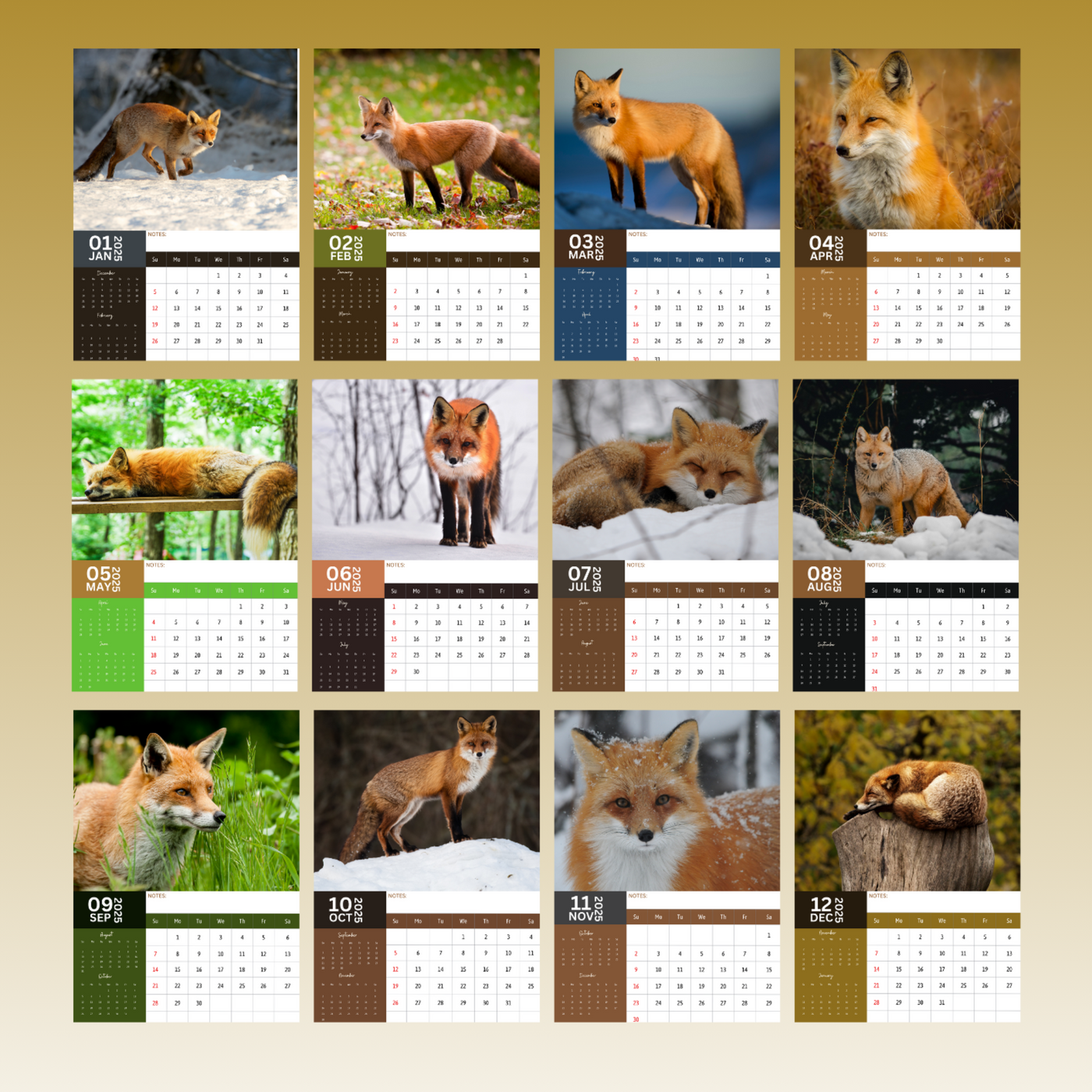 Foxes Calendar 2025