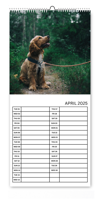 5.5x12" Dog & Cat Kitchen Calendars