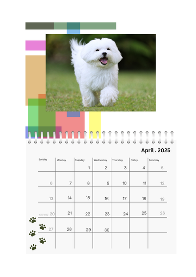 Pets Wall Photo Calendar 2025