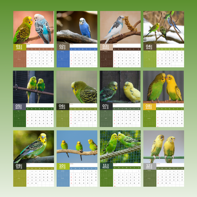 Budgerigars Calendar 2025