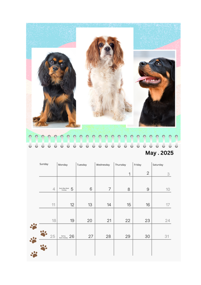 Pets Wall Photo Calendar 2025