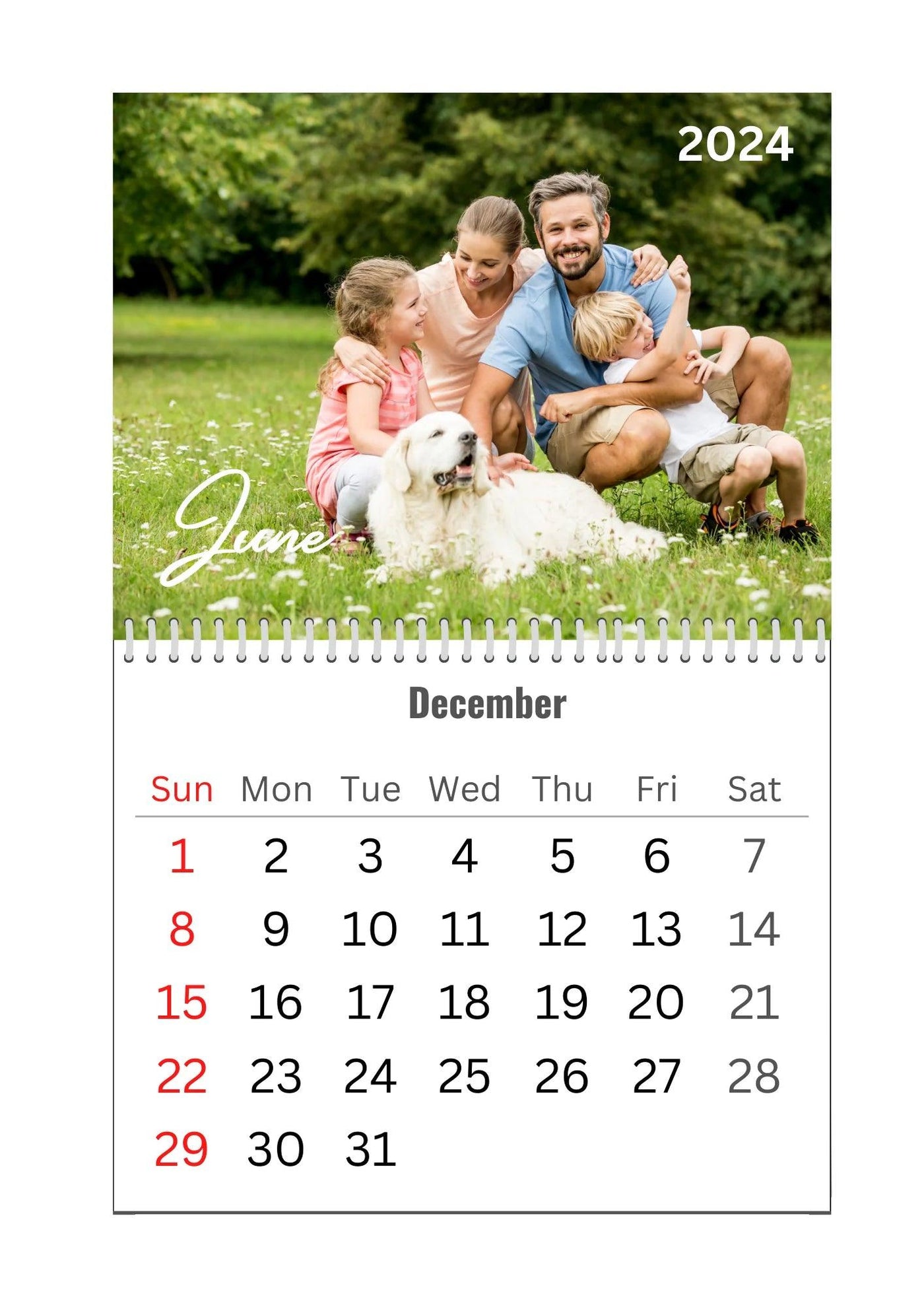 Modern Simple Playful Script Family Photos Calendar End of 6 Months 2024