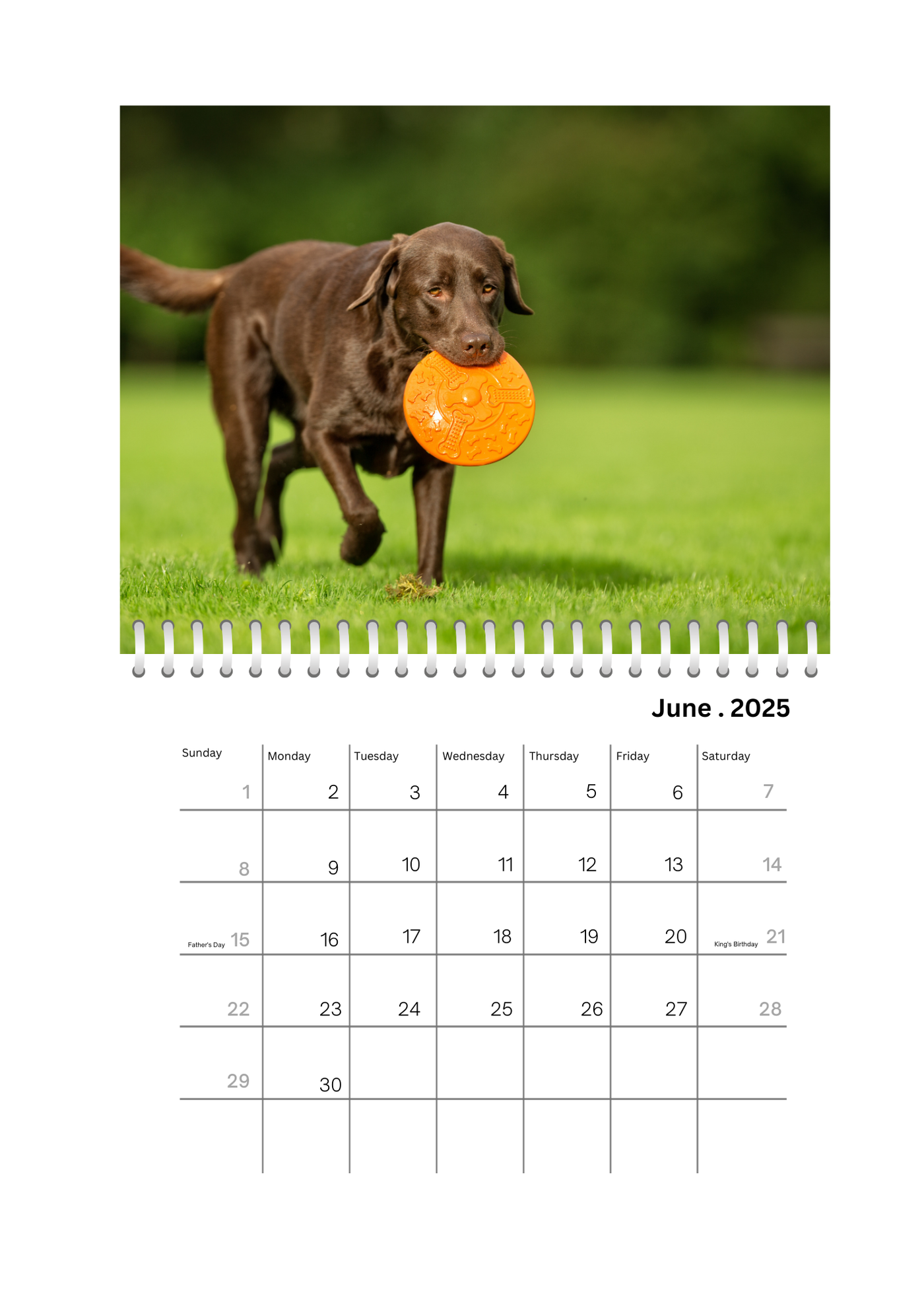 Full Photo Wall Calendar 2025