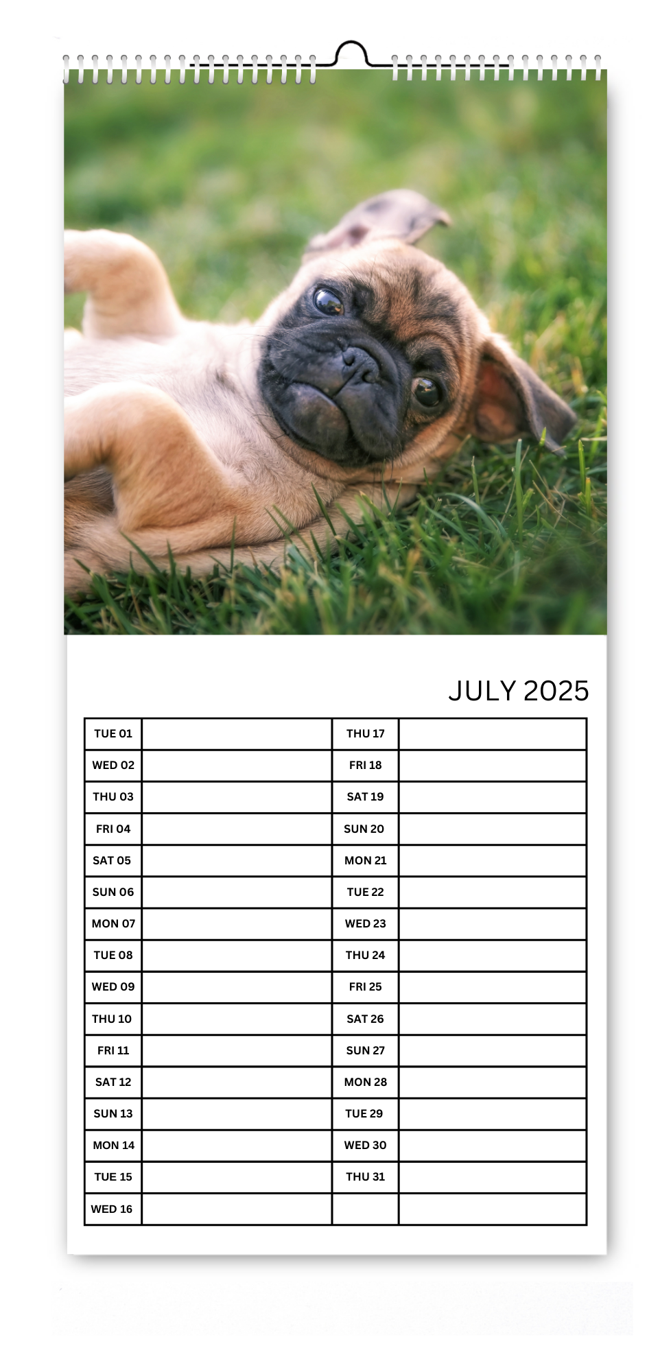 5.5x12" Dog & Cat Kitchen Calendars