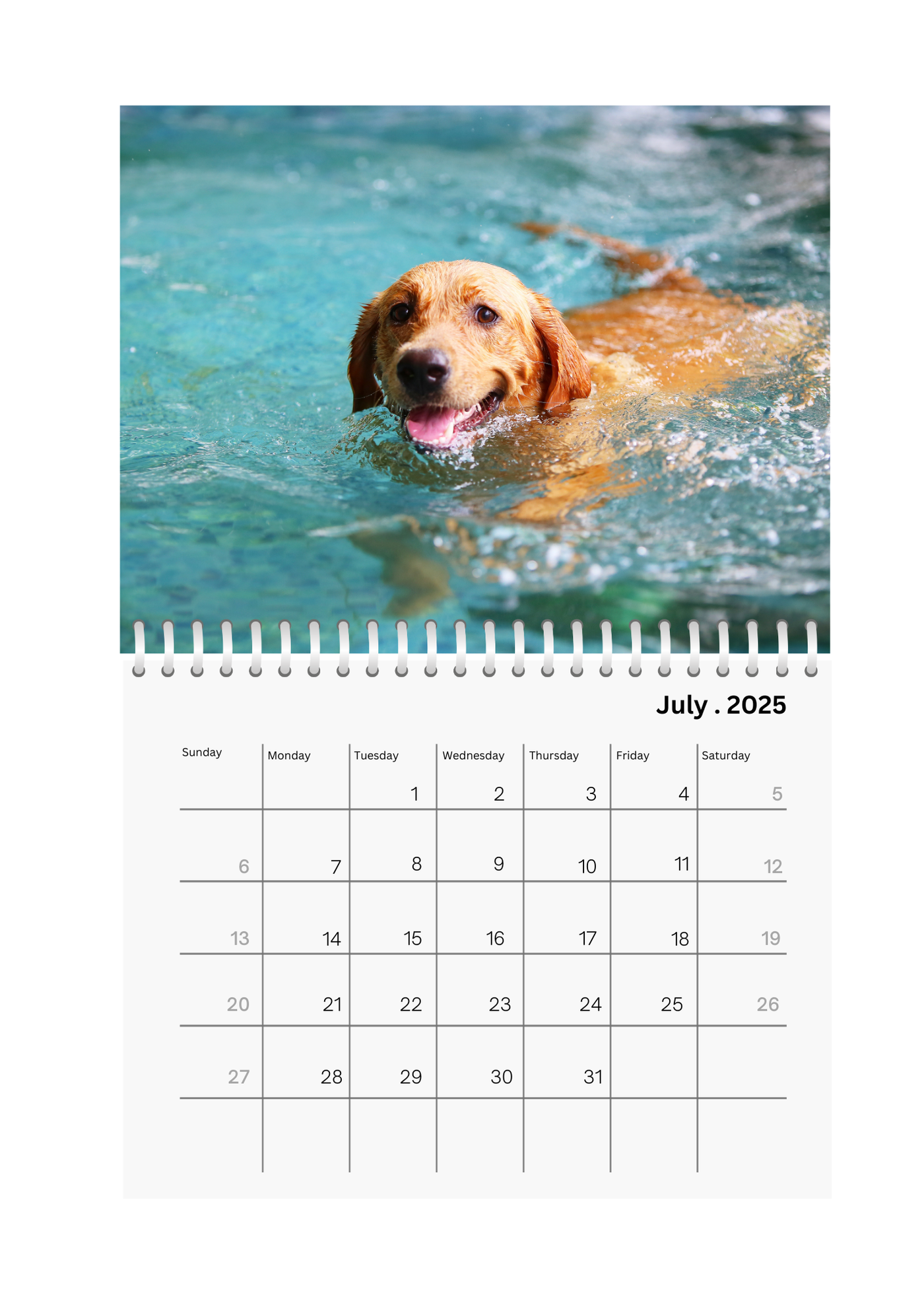 Full Photo Wall Calendar 2025