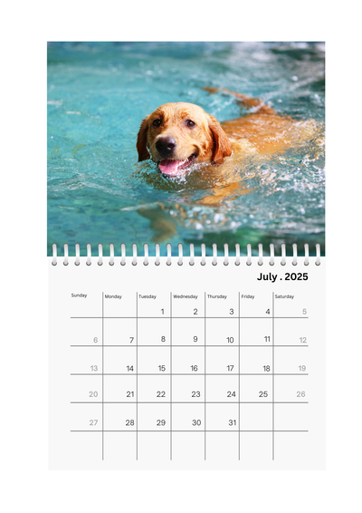 Full Photo Wall Calendar 2025