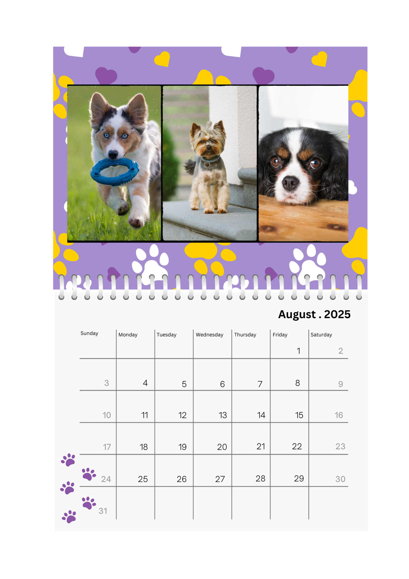 Pets Wall Photo Calendar 2025