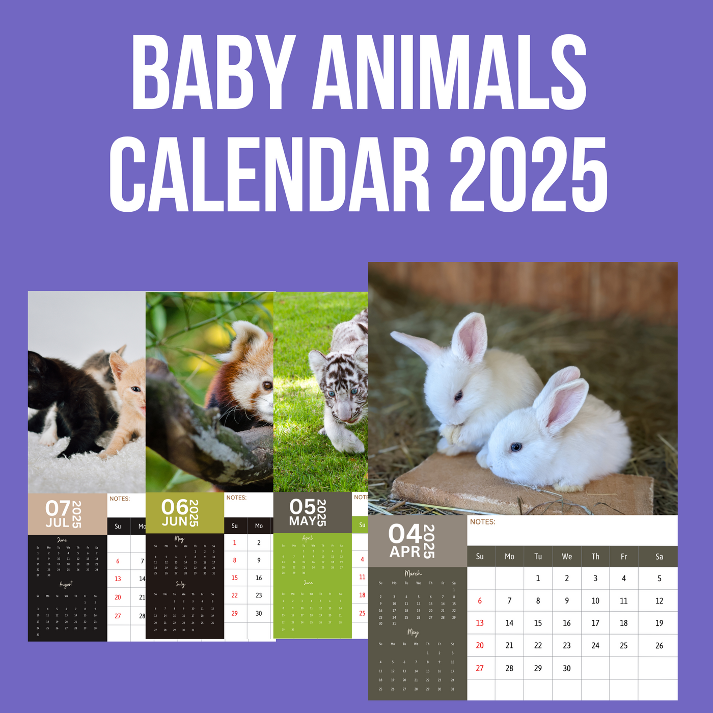 Baby Animals Calendar 2025