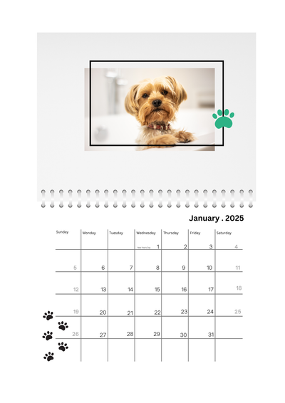 Pets Wall Photo Calendar 2025