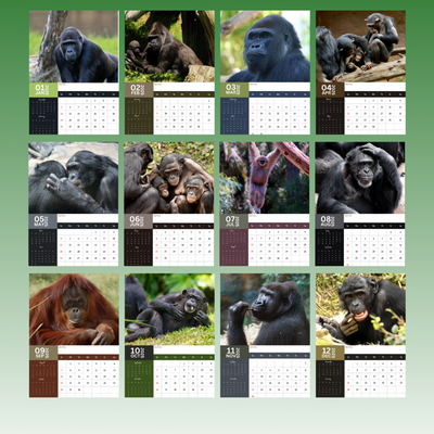 Apes Calendar 2025