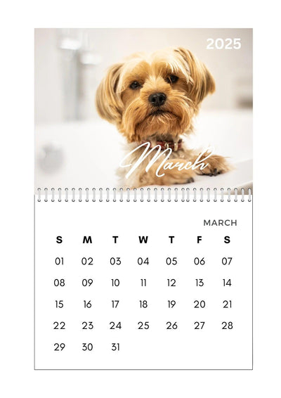 Modern Simple Playful Script Family Photos Calendar 2025